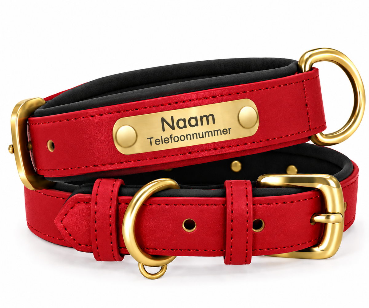 Gepersonaliseerde hondenhalsband met naamplaatje