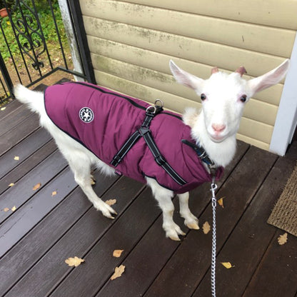 Waterproof Dog Clothes Winter Dog Coat with Harness Warm Pet Clothing Big Dog Jacket Chihuahua Labrador Coat Costume