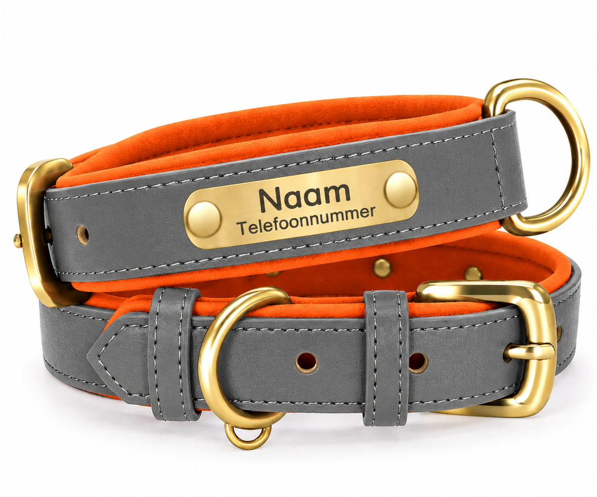 Gepersonaliseerde hondenhalsband met naamplaatje