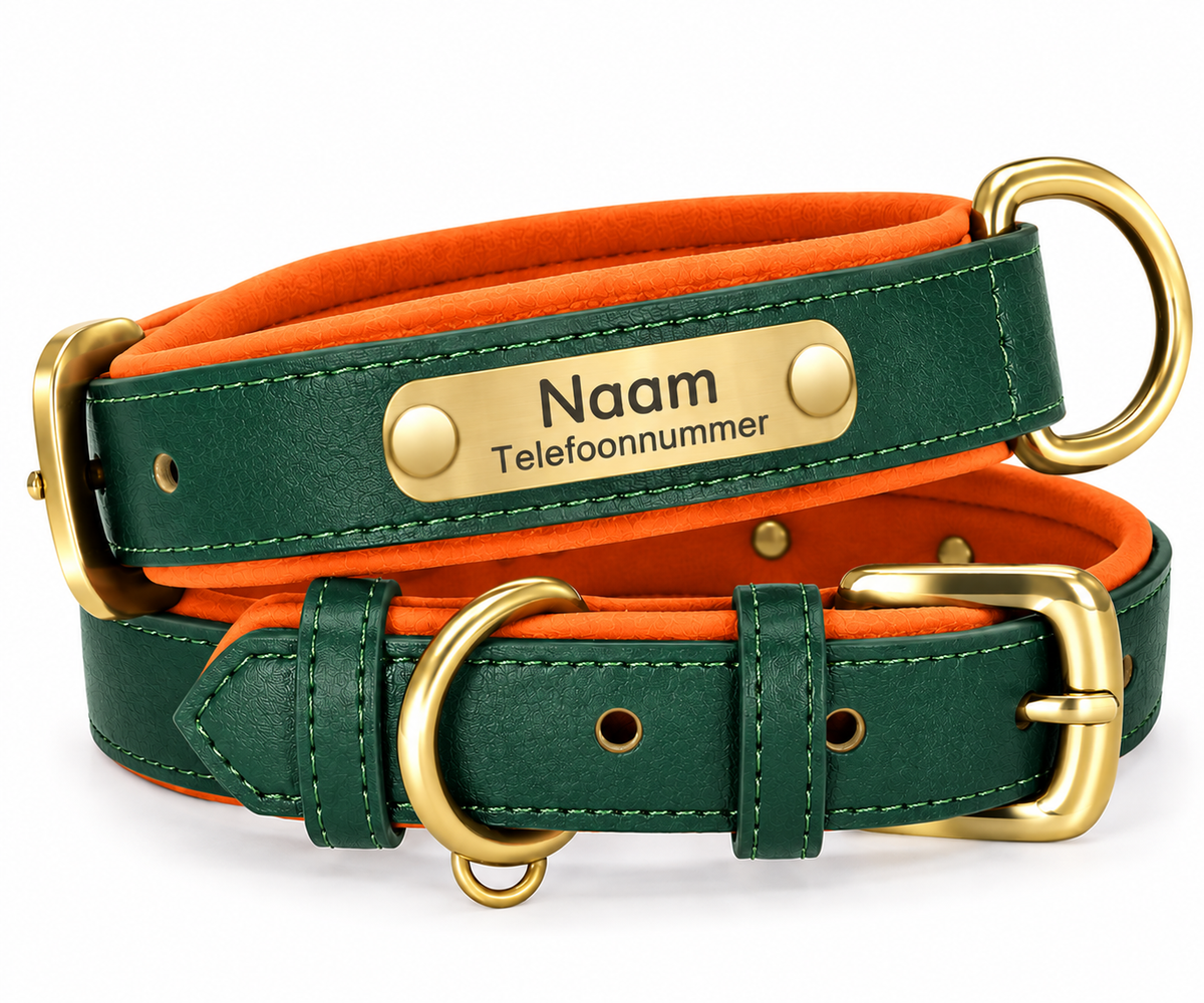 Gepersonaliseerde hondenhalsband met naamplaatje