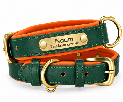 Gepersonaliseerde hondenhalsband met naamplaatje