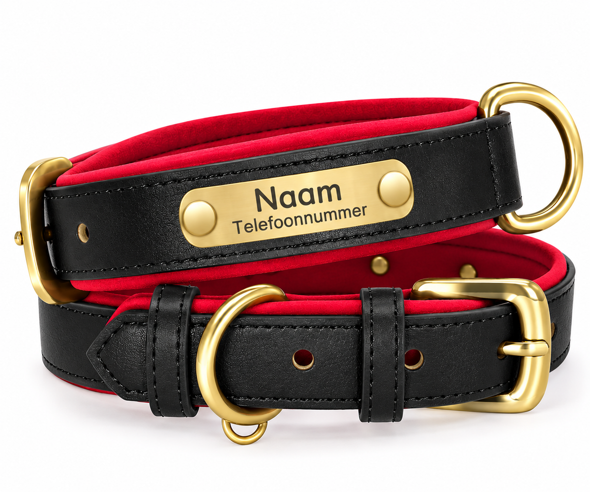 Gepersonaliseerde hondenhalsband met naamplaatje