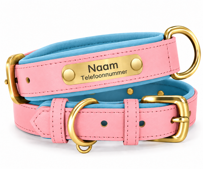 Gepersonaliseerde hondenhalsband met naamplaatje