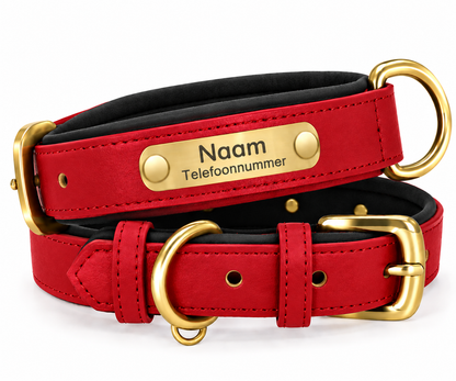 Gepersonaliseerde hondenhalsband met naamplaatje
