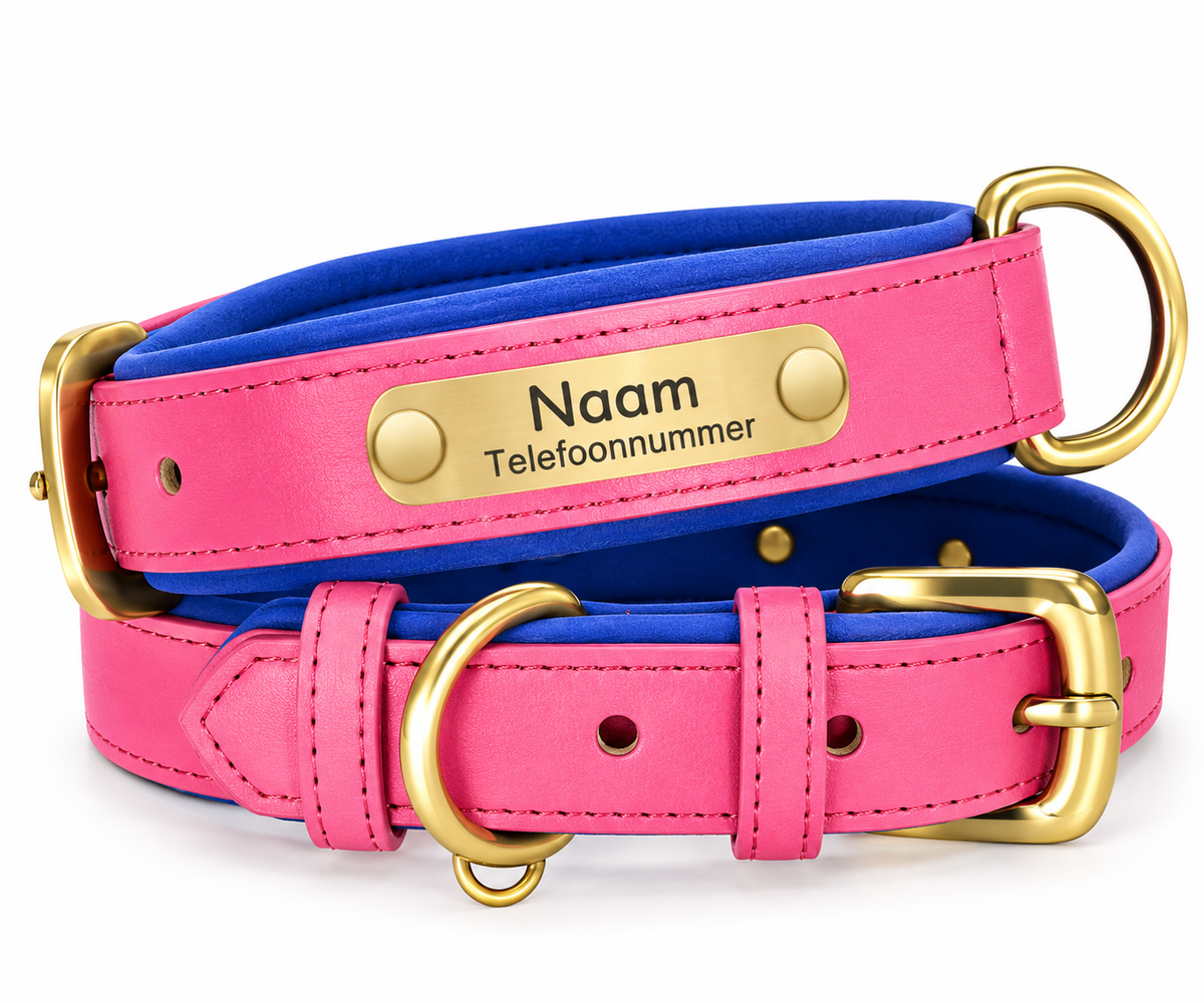 Gepersonaliseerde hondenhalsband met naamplaatje