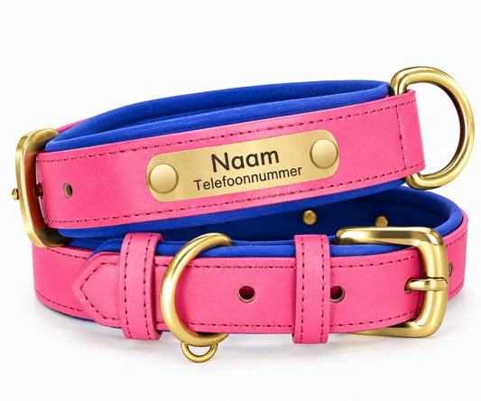 Gepersonaliseerde hondenhalsband met naamplaatje