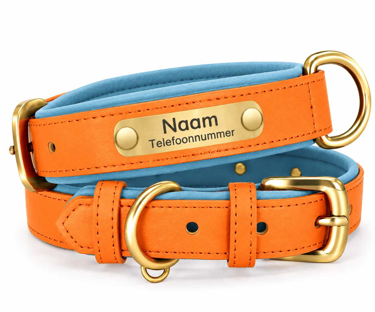 Gepersonaliseerde hondenhalsband met naamplaatje